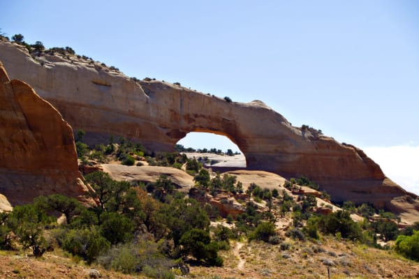 A broad low arch opening through a sandstone fin partway up a hillside, the rock pale gold and streaked, with sky showing through the opening. Junipers and desert scrub cover the slope below and a faint trail climbs toward it.
