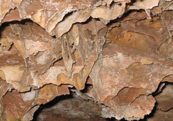 Thin fins of boxwork crisscrossing the ceiling of Wind Cave in honeycomb-like cells
