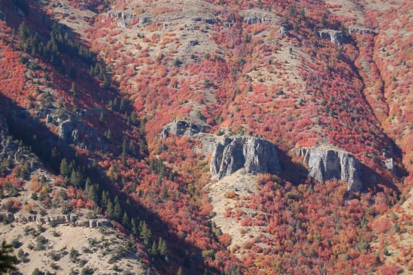 A canyon slope in autumn, dense red and orange maple covering the hillside with dark conifers scattered through it. A blocky grey limestone outcrop stands out on the slope at the center, its face shadowed and pitted with dark hollows.