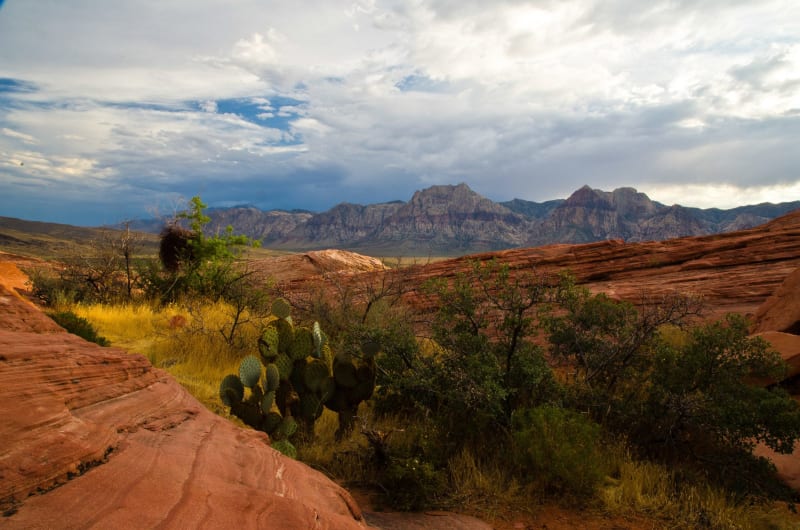 Red Aztec sandstone in the foreground below the Red Rock Canyon escarpment, where pale gray limestone caps the red cliffs under a stormy sky.