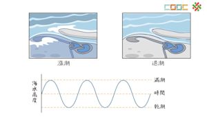 三角函數的圖形