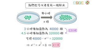 指數與對數函數的應用
