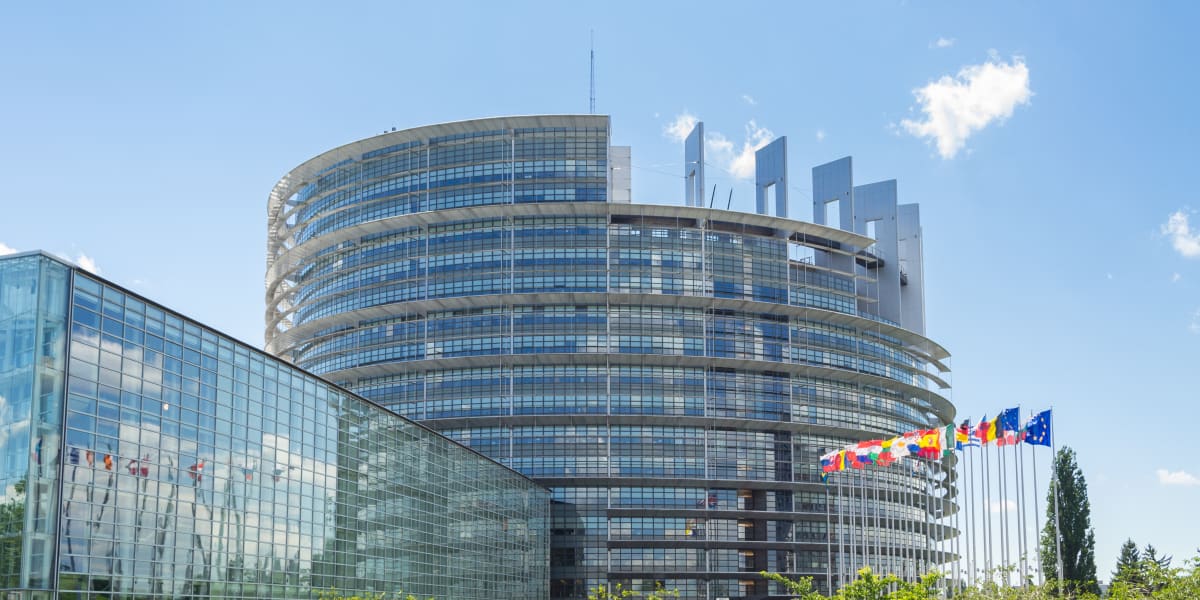 EU säger nej till vegoburgaren 
