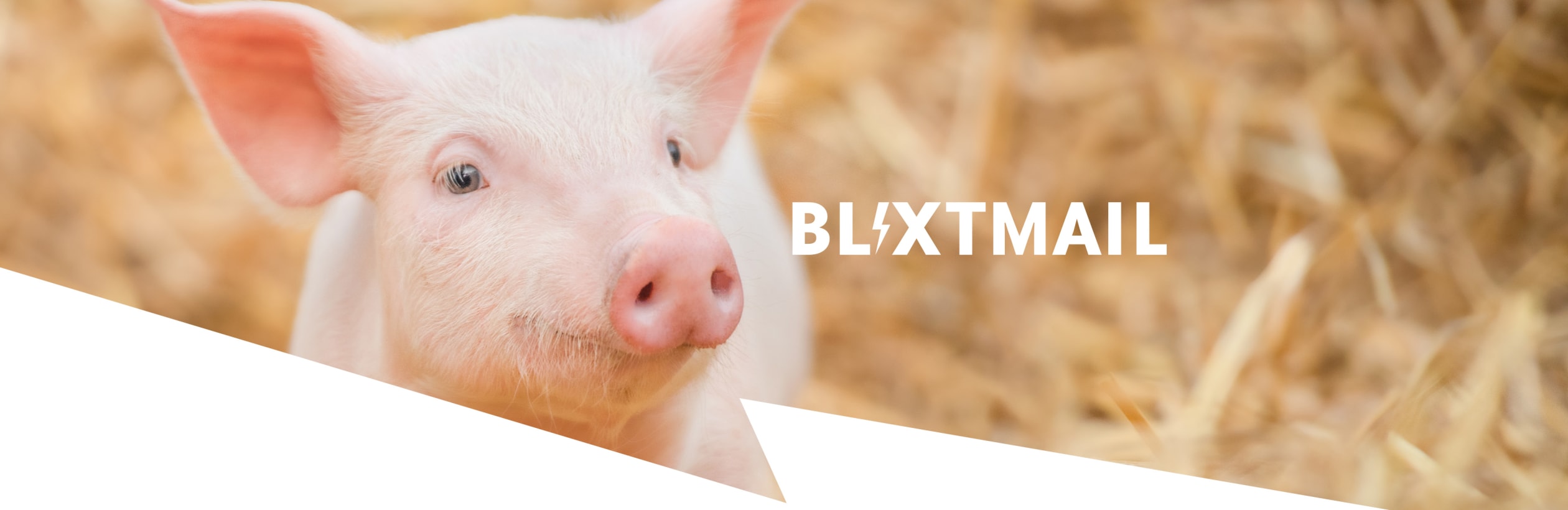 En rosa kulting i halm med texten "BLIXTMAIL" i vit stilren font.