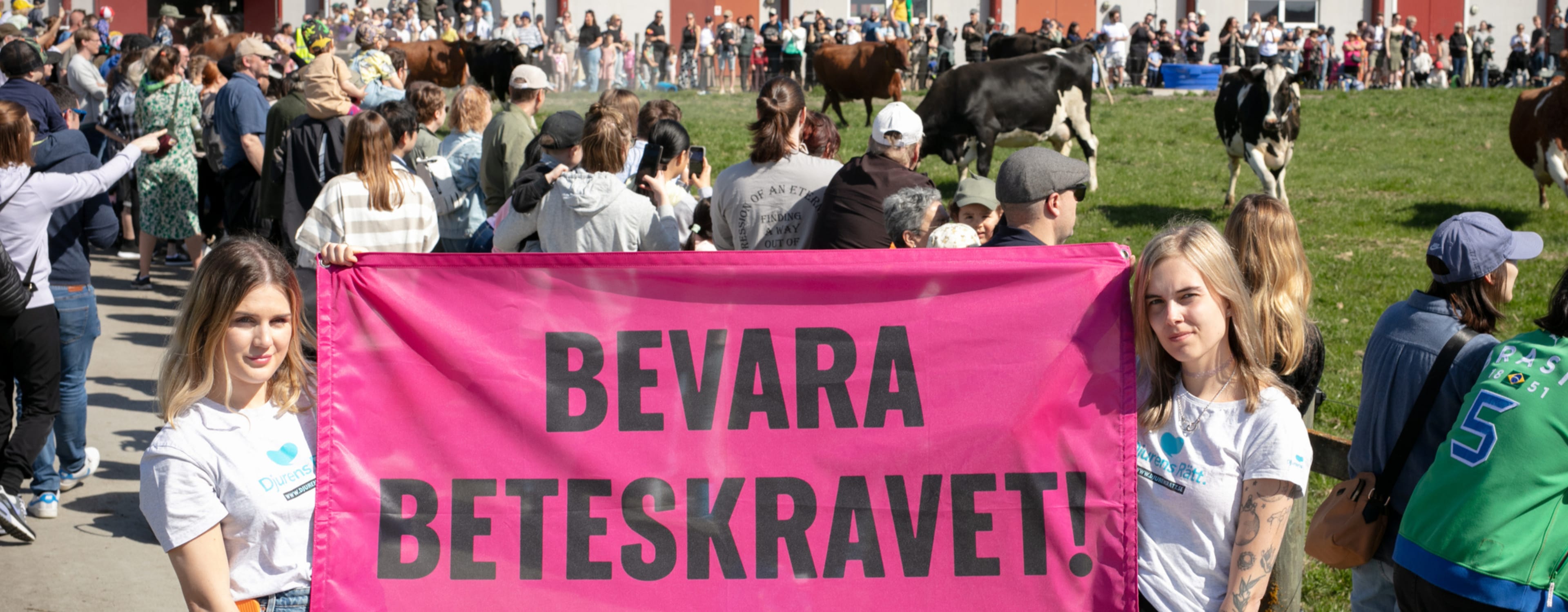 djurensratt-se/aktuellt/event/Bevara_beteskravet_2024-05-04_1