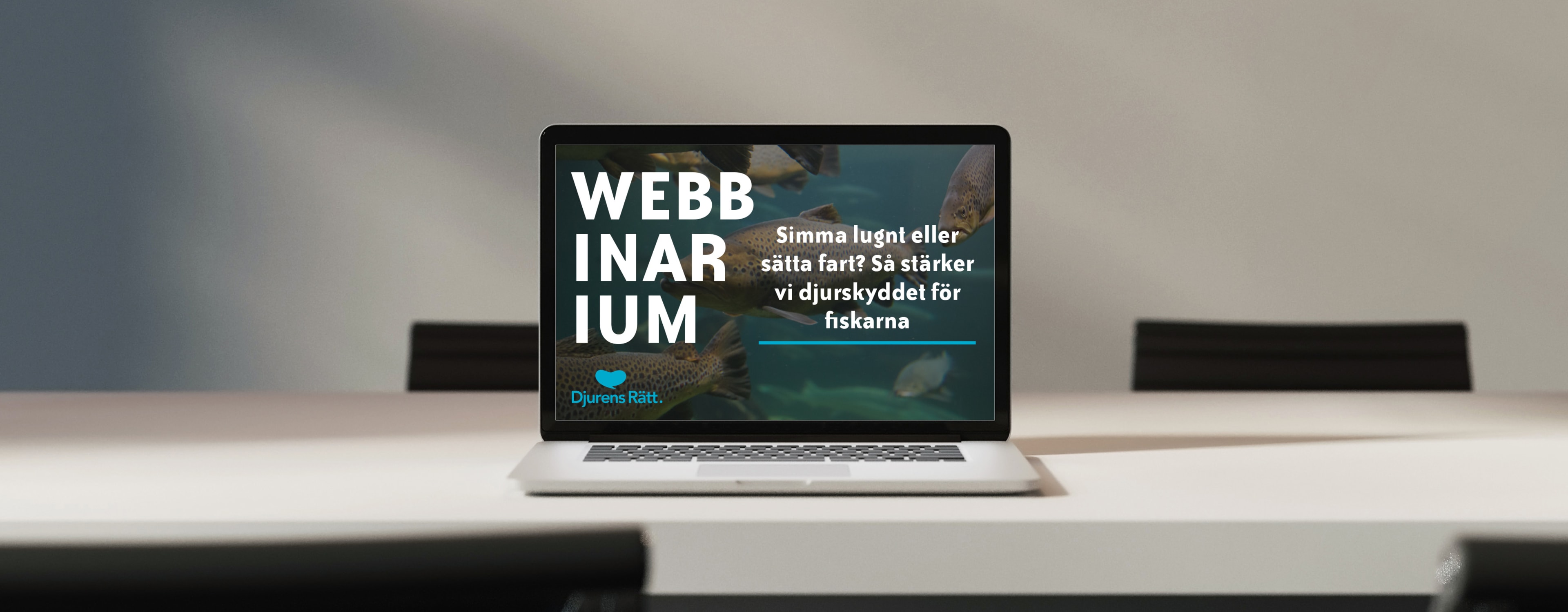 djurensratt-se/mockups/Banner-Webbinarium