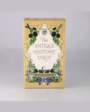 dhgate.com | The Antique Anatomy Tarot Cards 78 Deck