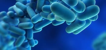 Legionella