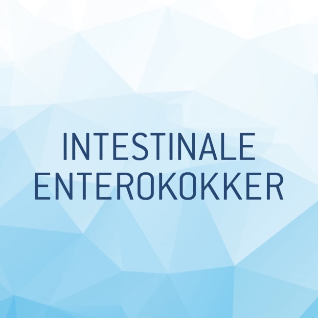 Vannanalyse Intestinale Enterokokker