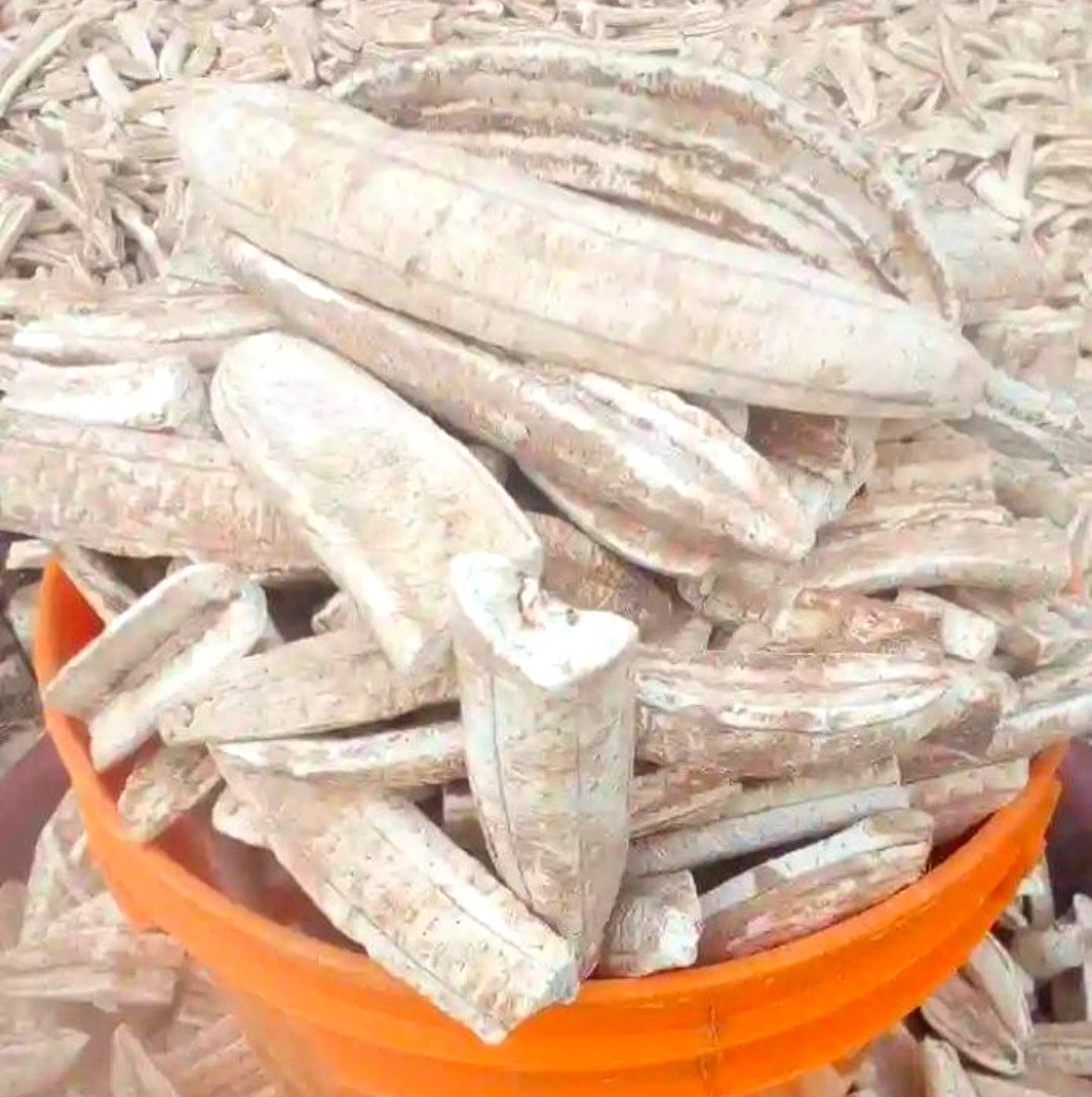 Plantain flour (custard bucket), photo 2
