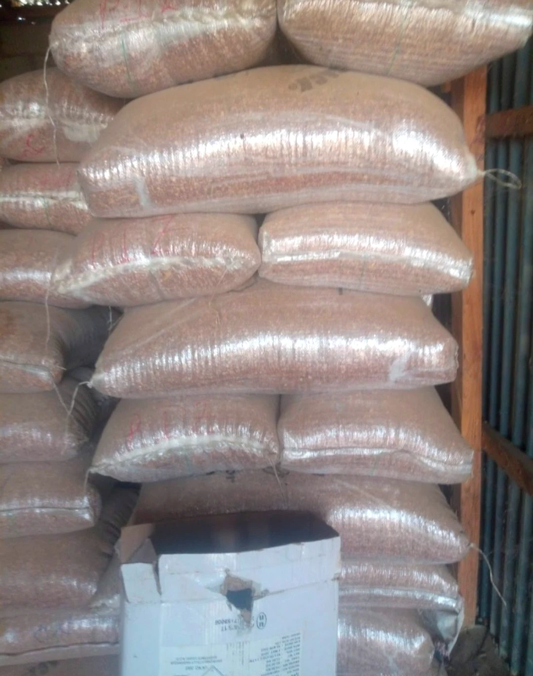 Honey beans (in custard bucket and in bags), photo 2