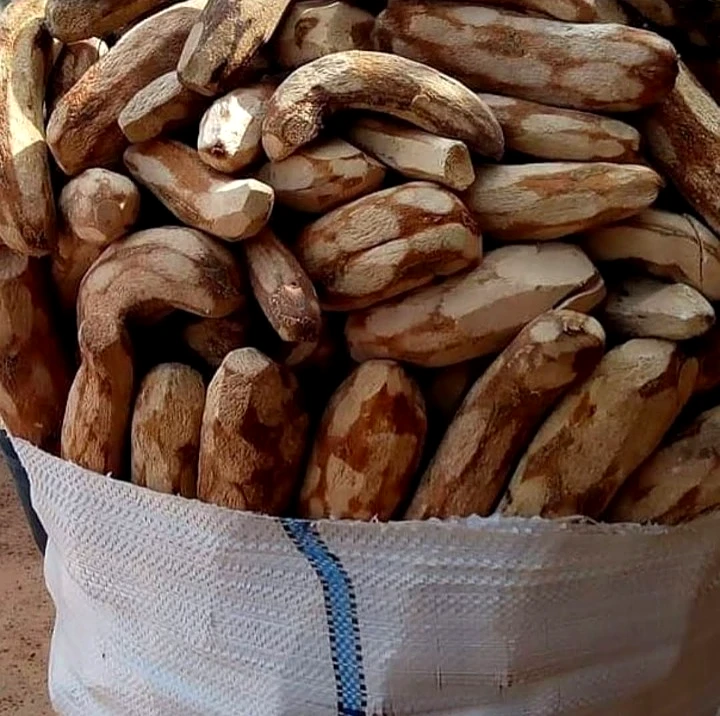 ELUBO (Amala) custard bucket, photo 2