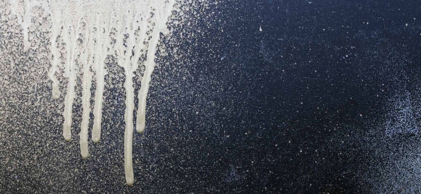 Paint Removal Services Free Quote Kleenit