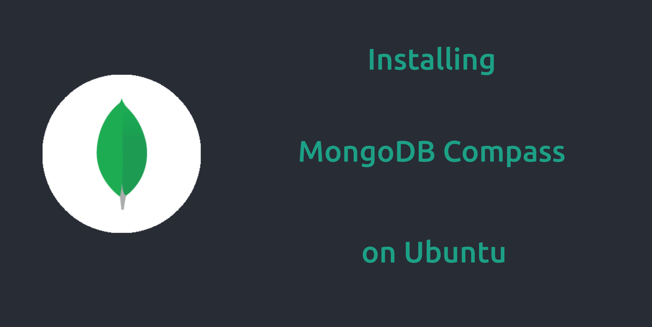 mongodb compass run query