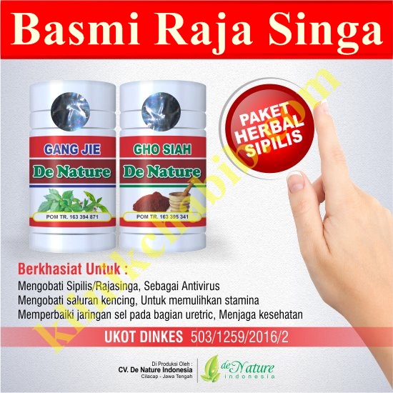 Obat Raja Singa Alami