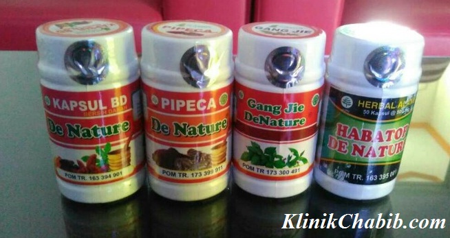 Obat Raja Singa Ampuh Obat Raja Singa Ampuh