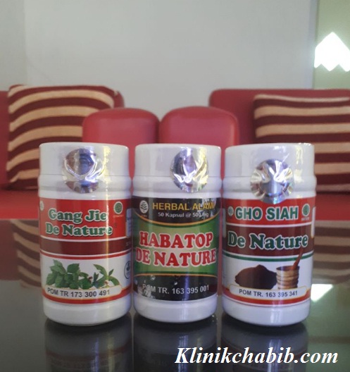 Obat Raja Singa Apotik Obat Raja Singa Apotik