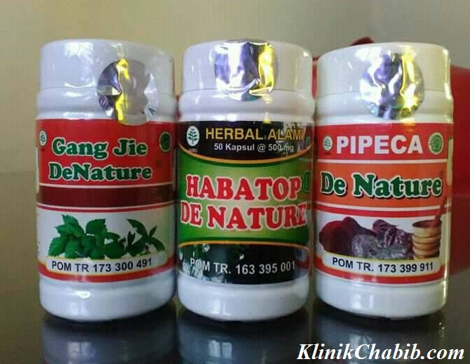 Obat Raja singa Tradisional Obat Raja singa Tradisional