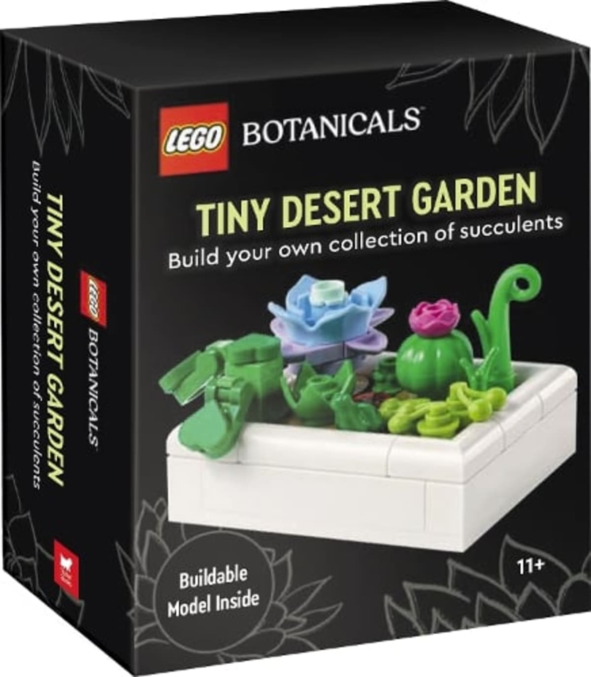Botanicals: Tiny Desert Garden – widok główny