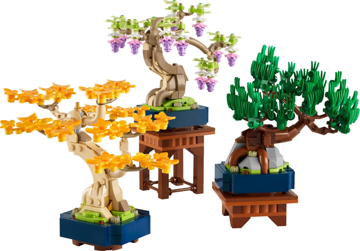 Mini Bonsai Trees – widok główny