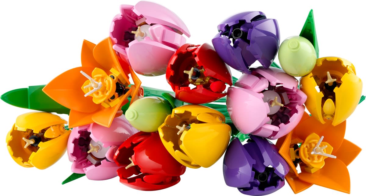 Tulip Bouquet – widok główny