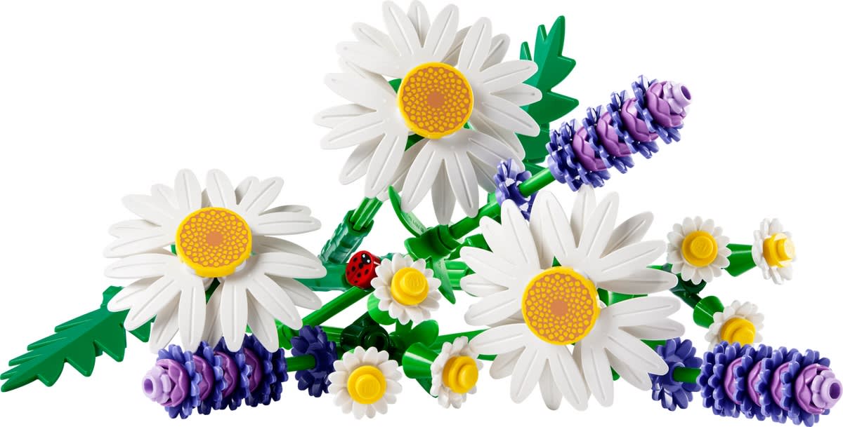 Daisies – widok główny