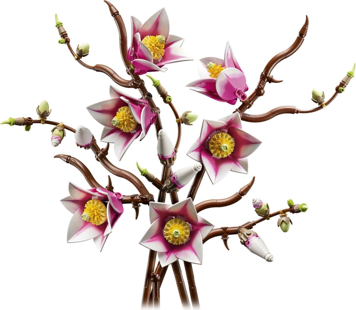 Magnolia Branches – widok główny