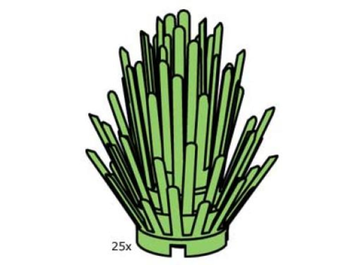 Bush – widok główny