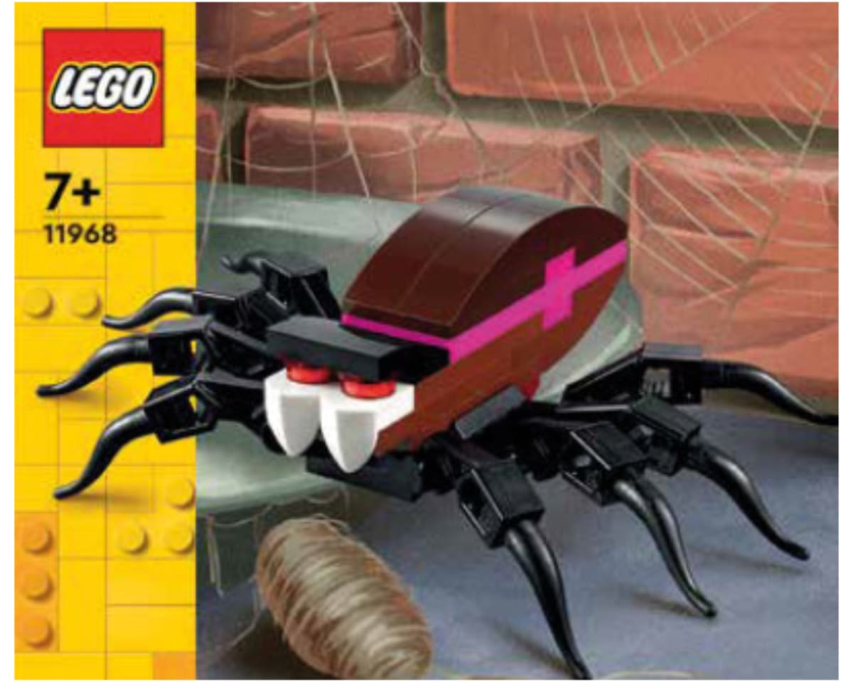 Spider – widok główny