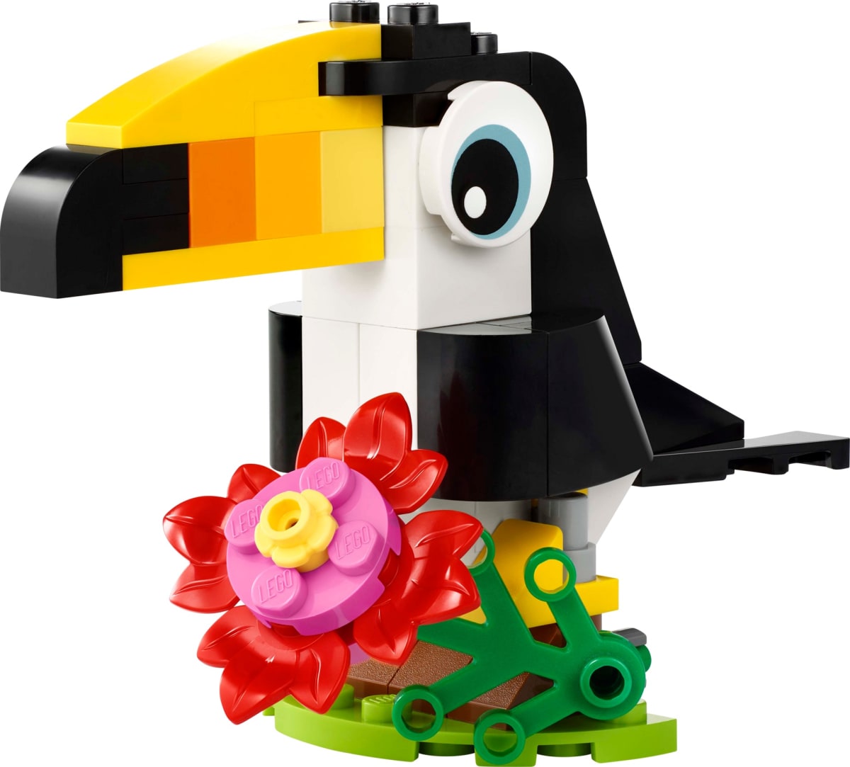 Tropical Toucan – widok główny