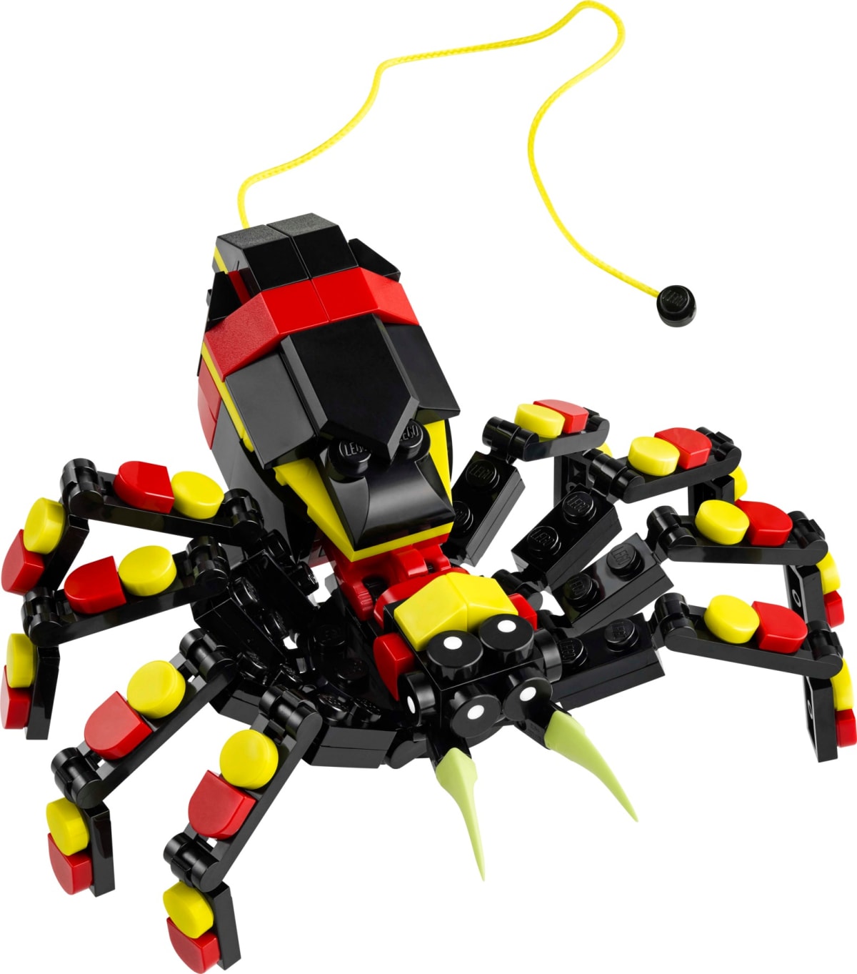 Wild Animals: Surprising Spider – widok główny