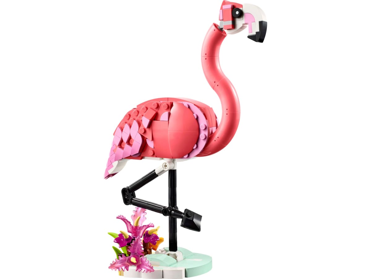 Wild Animals: Pink Flamingo – widok główny