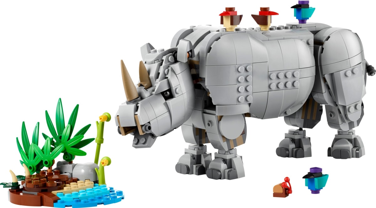 Wild Animals: Majestic Rhino with Birds – widok główny
