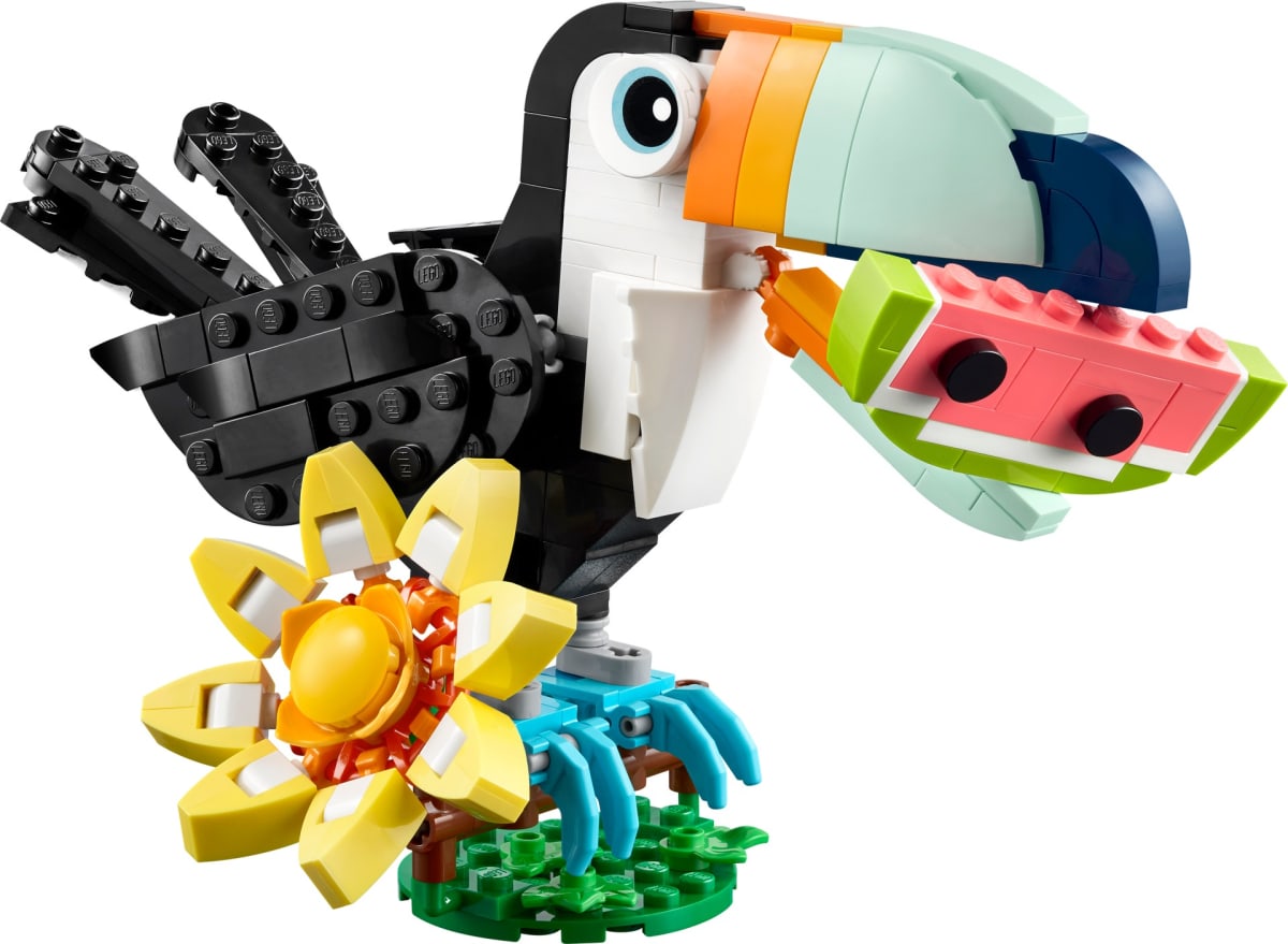 Wild Animals: Tropical Toucan – widok główny