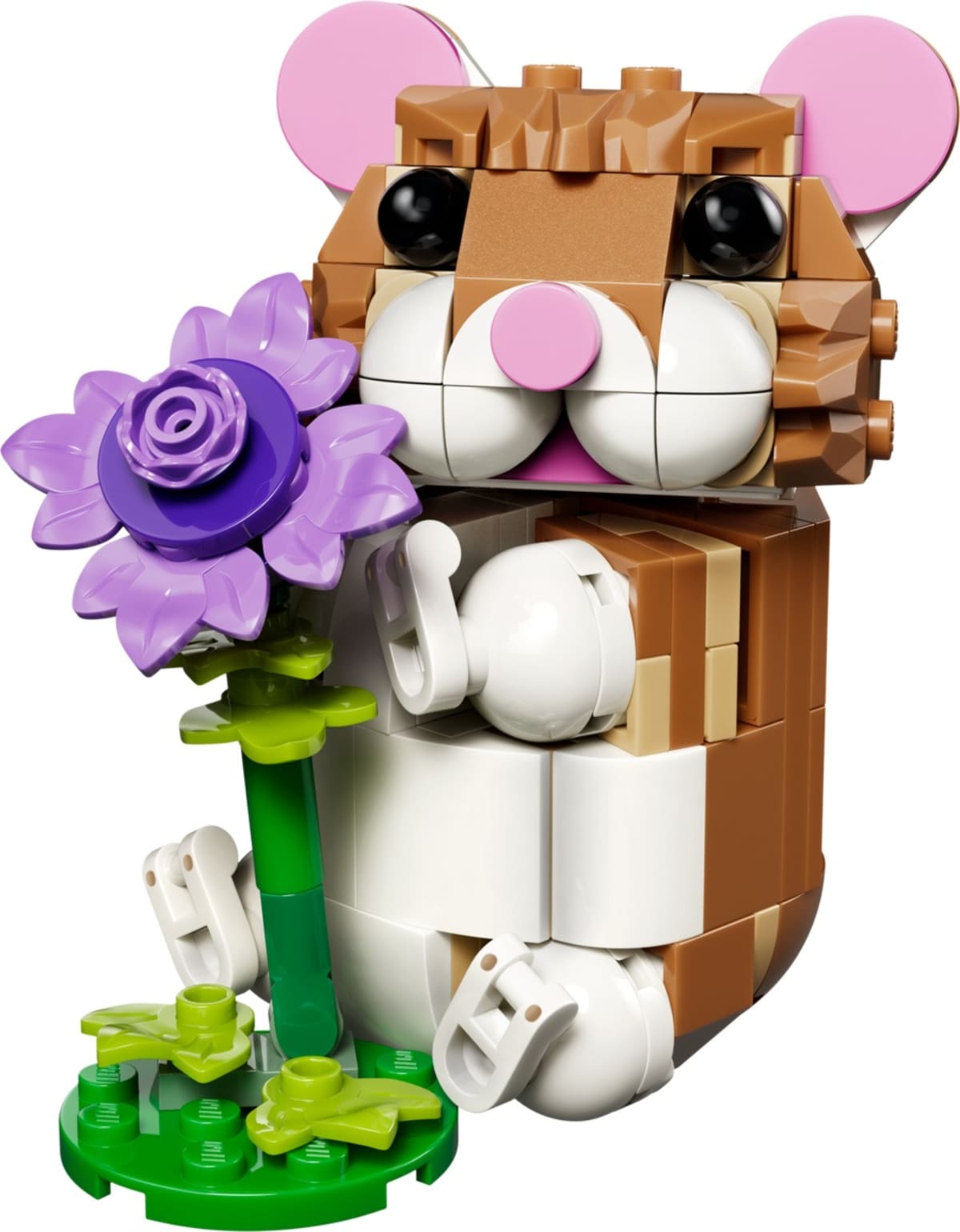 Cute Hamster with a Flower – widok główny
