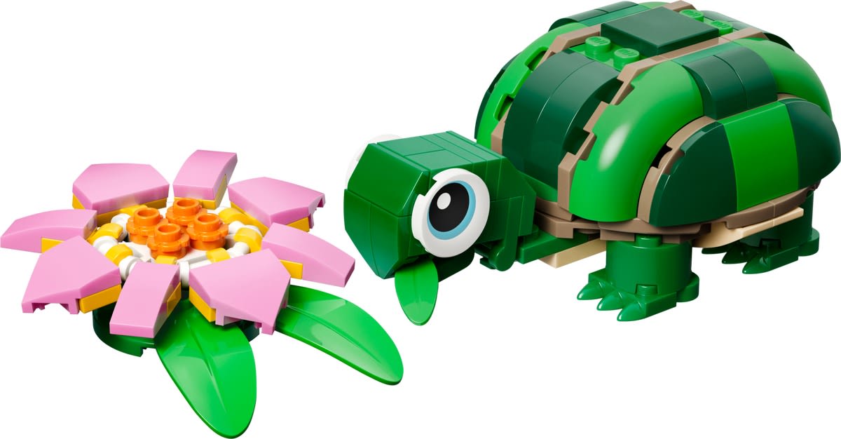 Turtle with a Water Lily Flower – widok główny