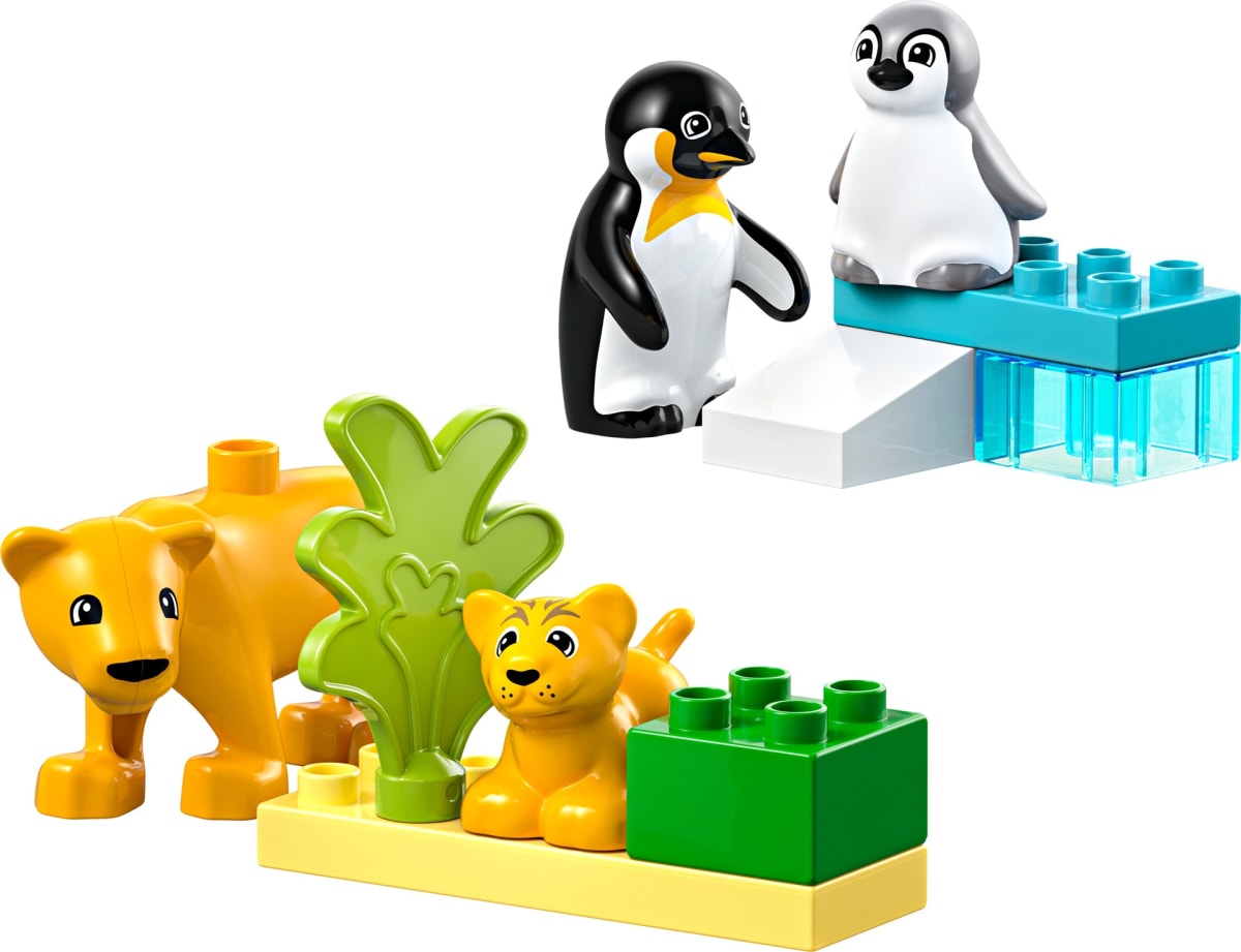 Wild Animal Families: Penguins & Lions – widok główny
