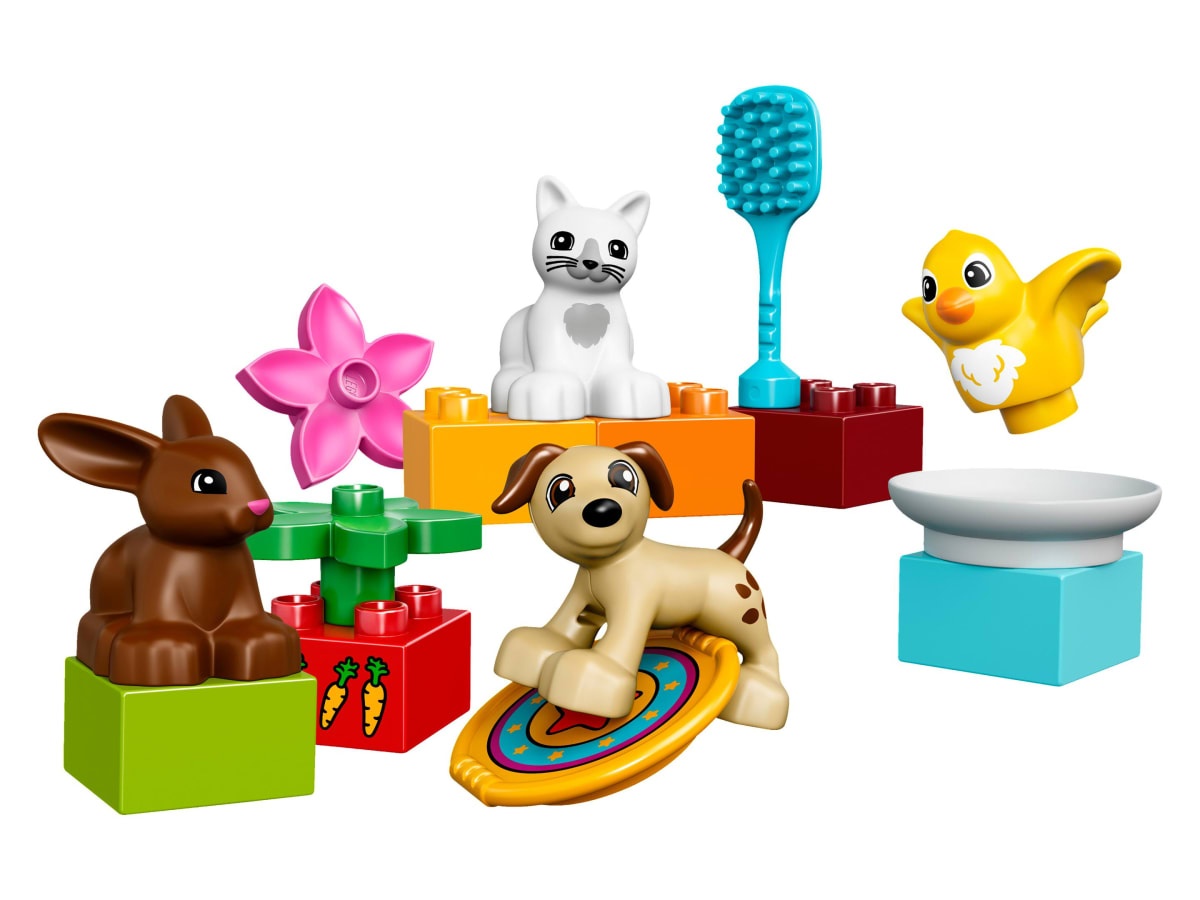 Family Pets – widok główny