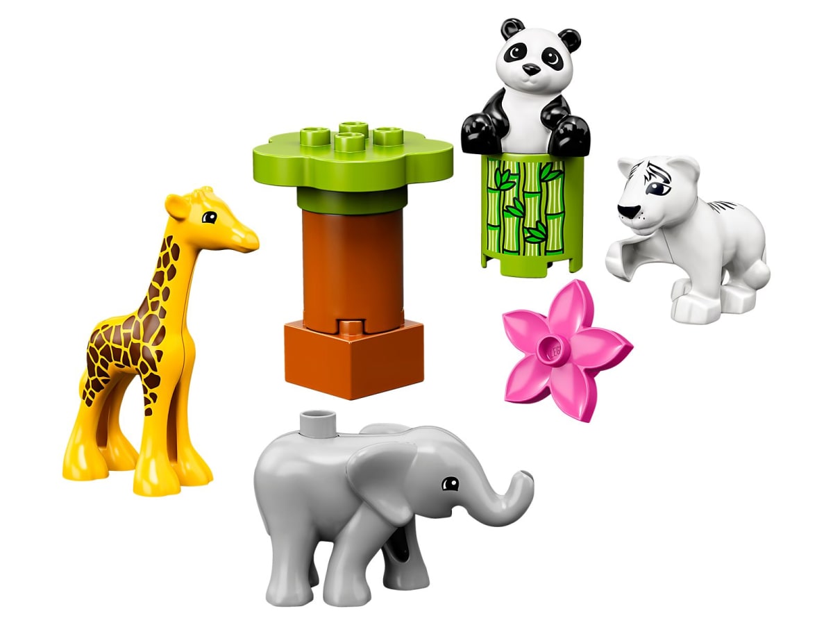 Baby Animals – widok główny
