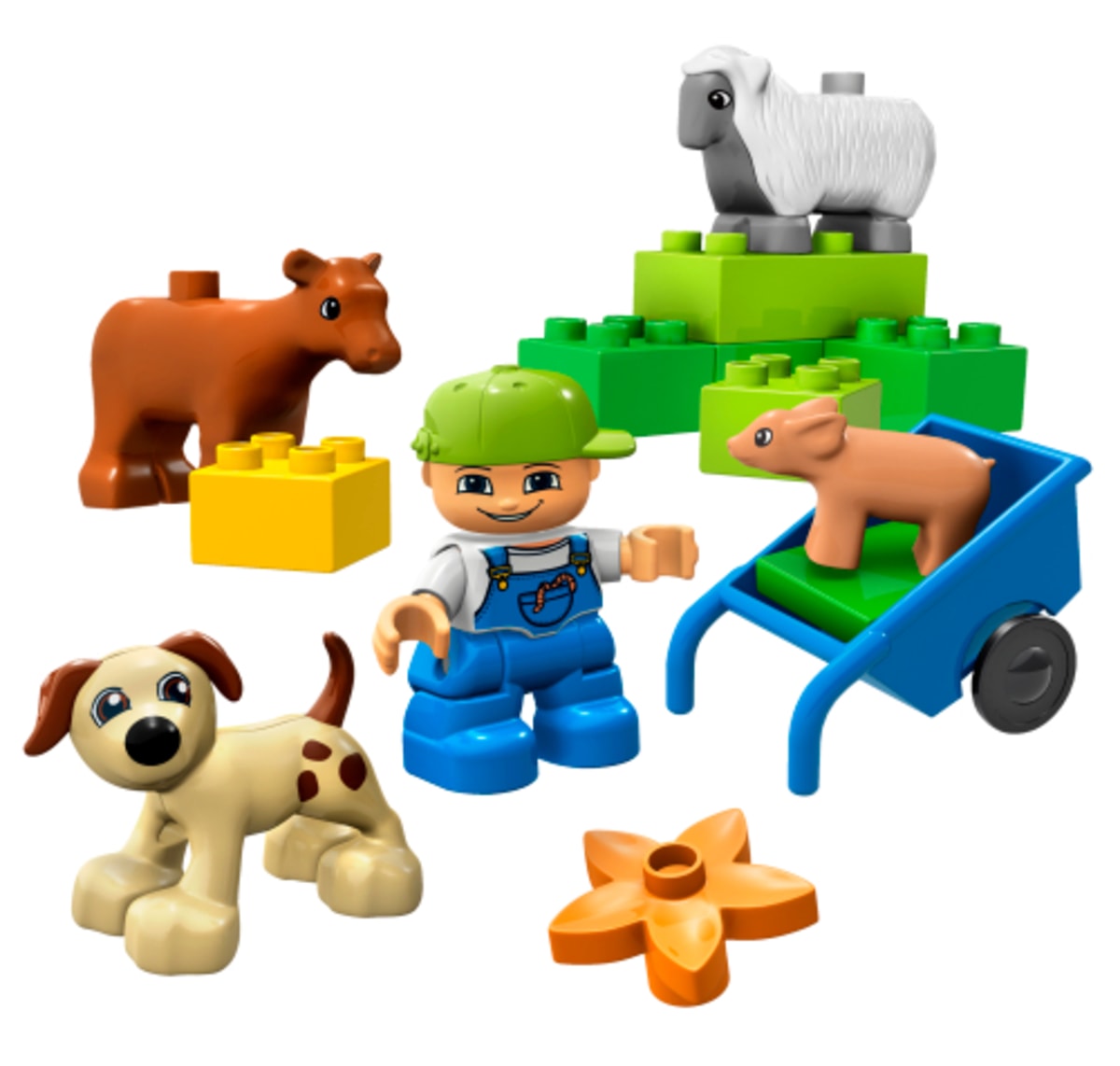 Animals – widok główny