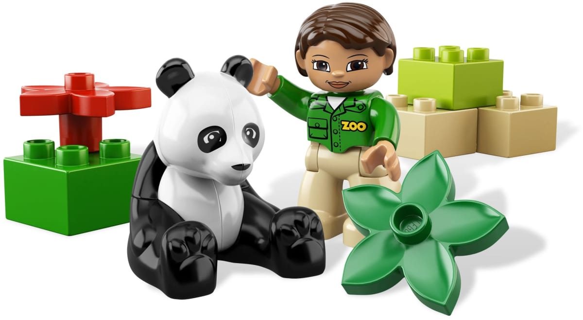 Panda – widok główny