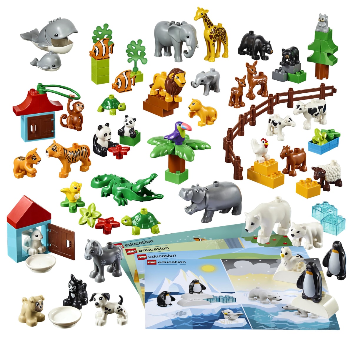 Animals – widok główny