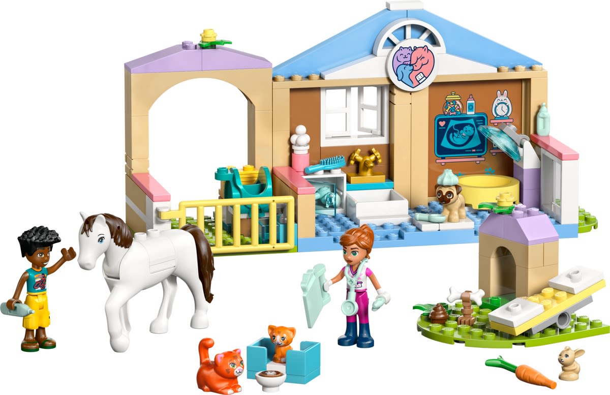 Animal Vet Clinic – widok główny