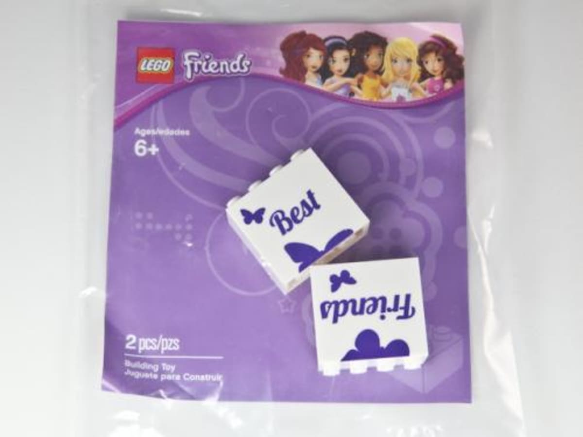 Best Friends Promotional Brick Set – widok główny