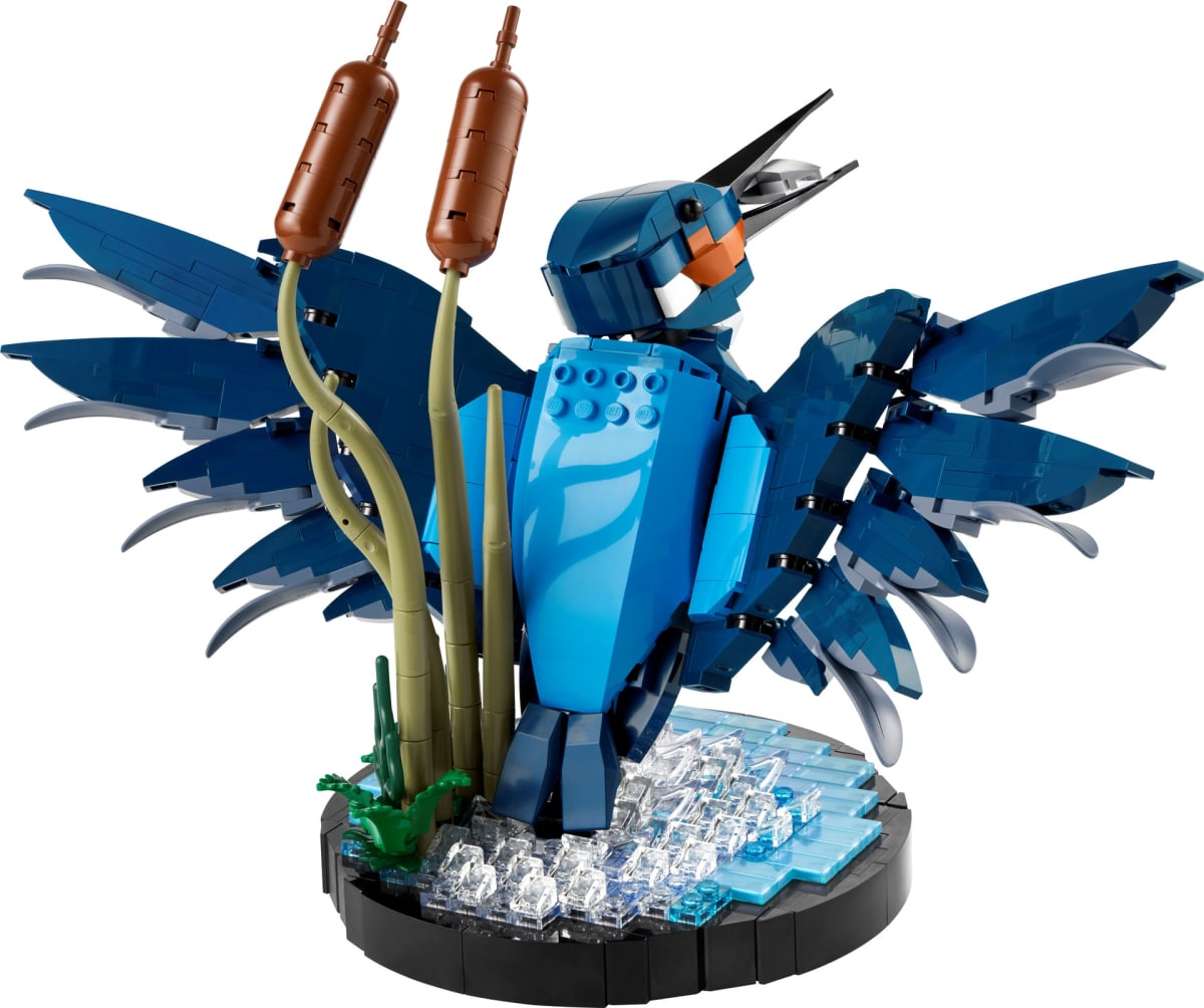 Kingfisher Bird – widok główny