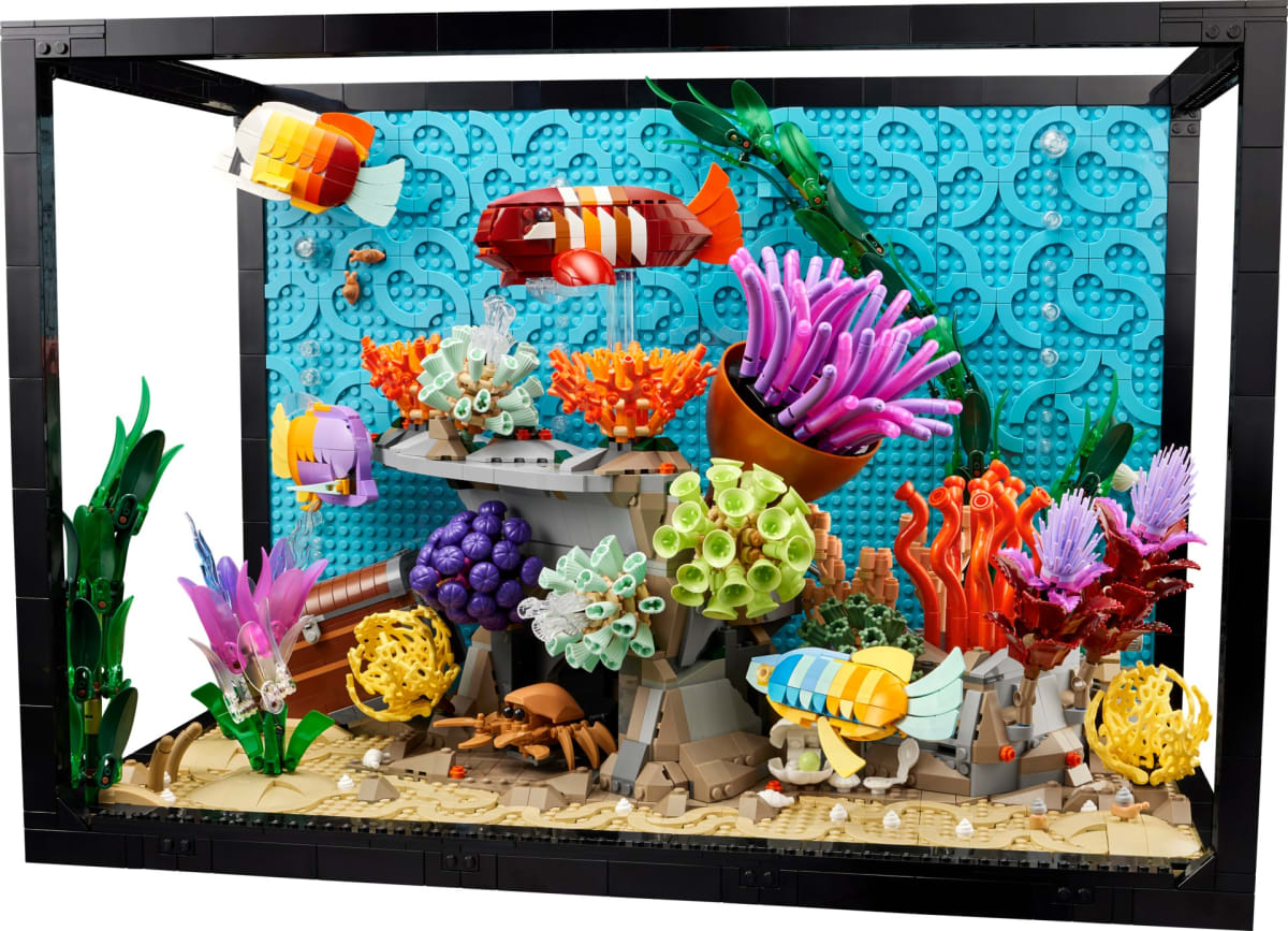 Tropical Aquarium – widok główny