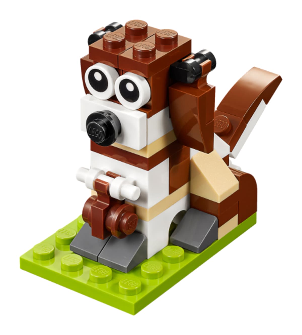 St. Bernard Dog – widok główny