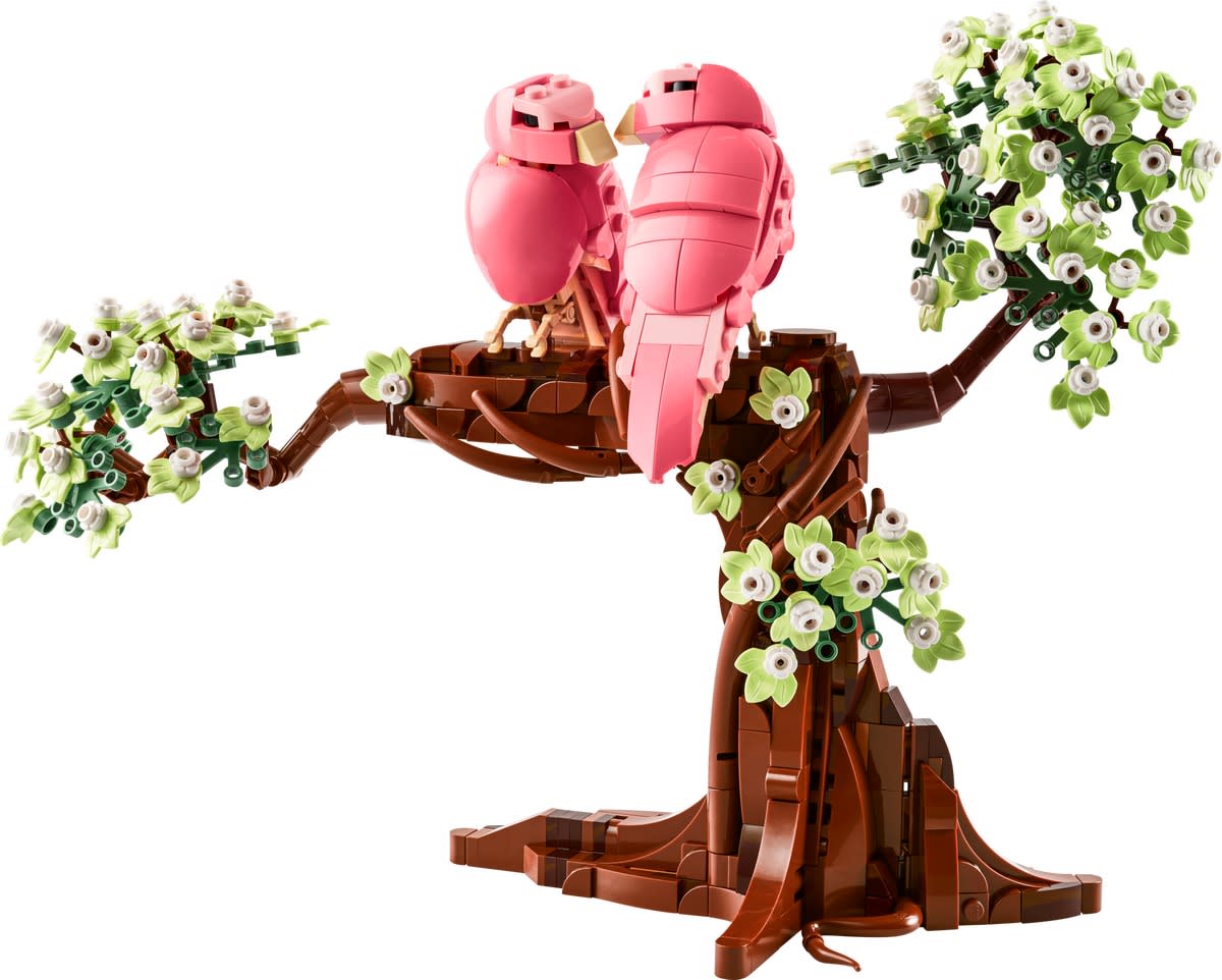 Love Birds – widok główny