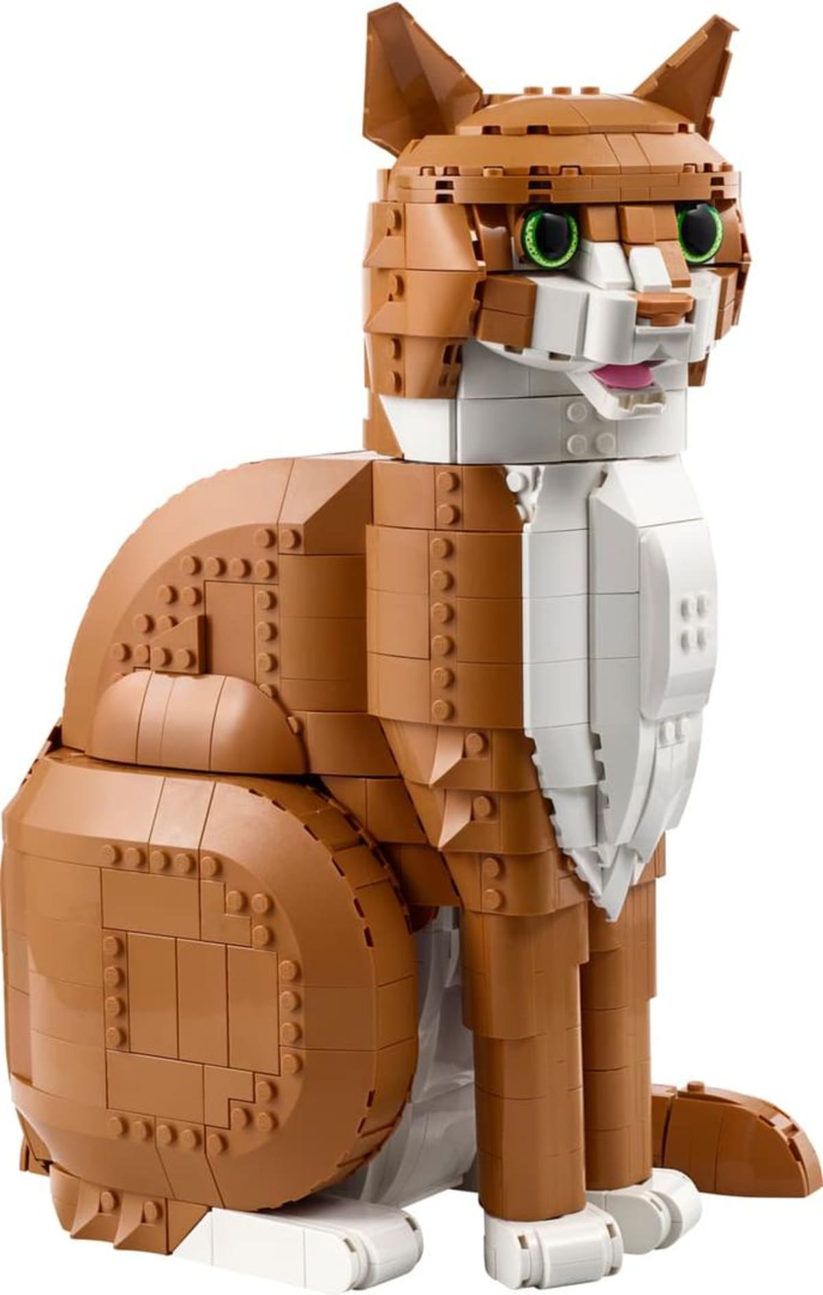 Orange Cat – widok główny