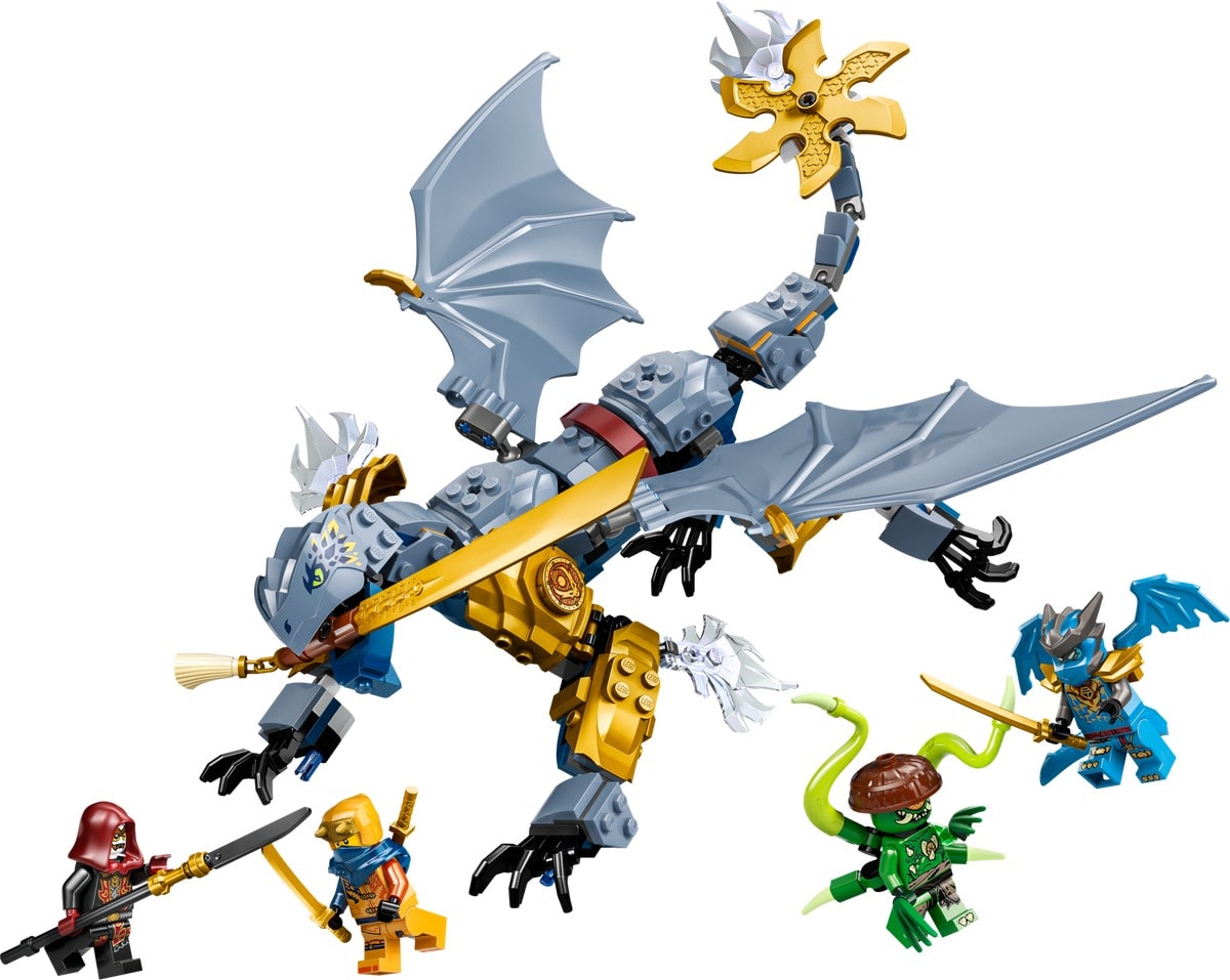 Ninja Dragon Riyu's Battle – widok główny